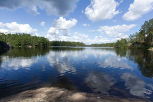 Characteristic scandinavian lake surrounded by pine trees Characteristic scandinavian lake surrounded by pine trees